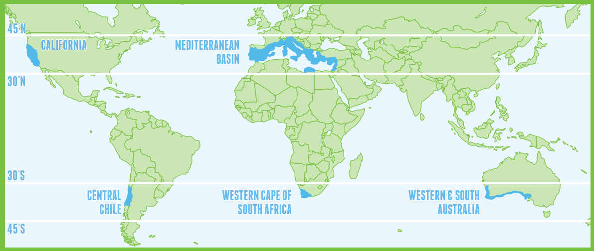 mediterrán térségek
